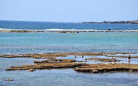 Green Water At The Beach